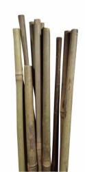 HOME It® bambuspinde Ø10 mm 180 cm 4 stk.