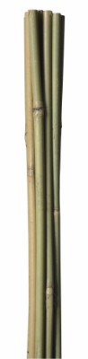 HOME It® bambuspinde Ø10 mm 180 cm 4 stk.